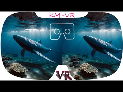 Where can I download or buy 3D movies/videos for viewing in Virtual Reality?